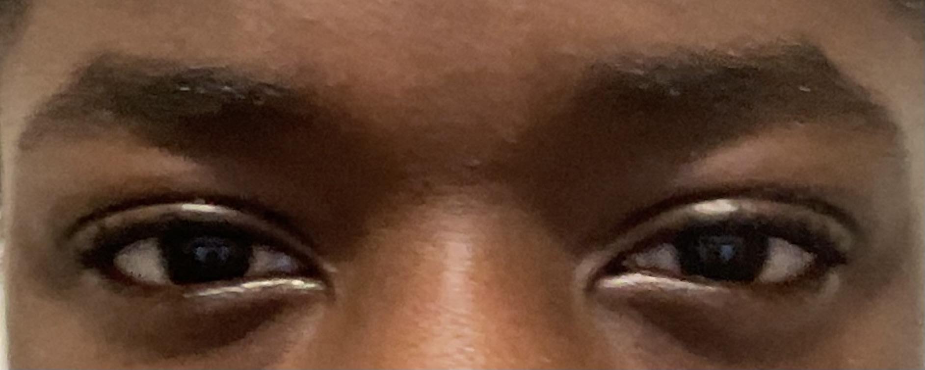 IMG 1423