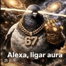 Alexa ligar aura