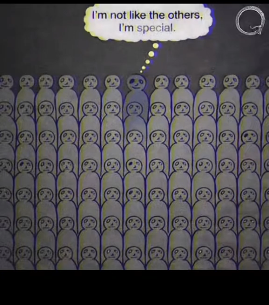 1786066897506