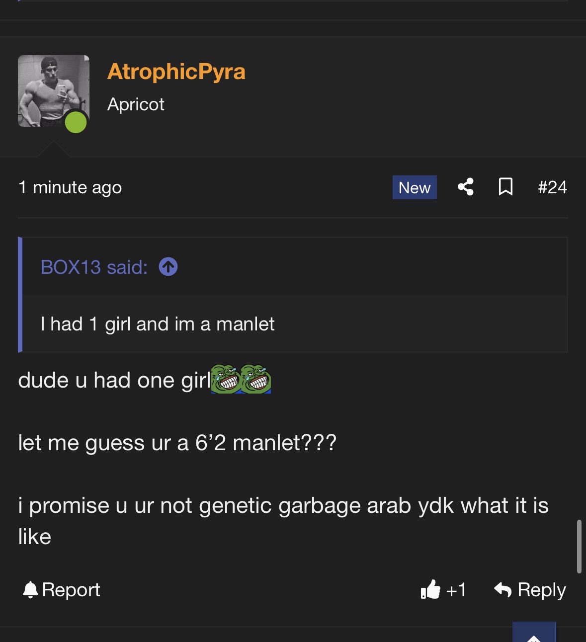 IMG 1488