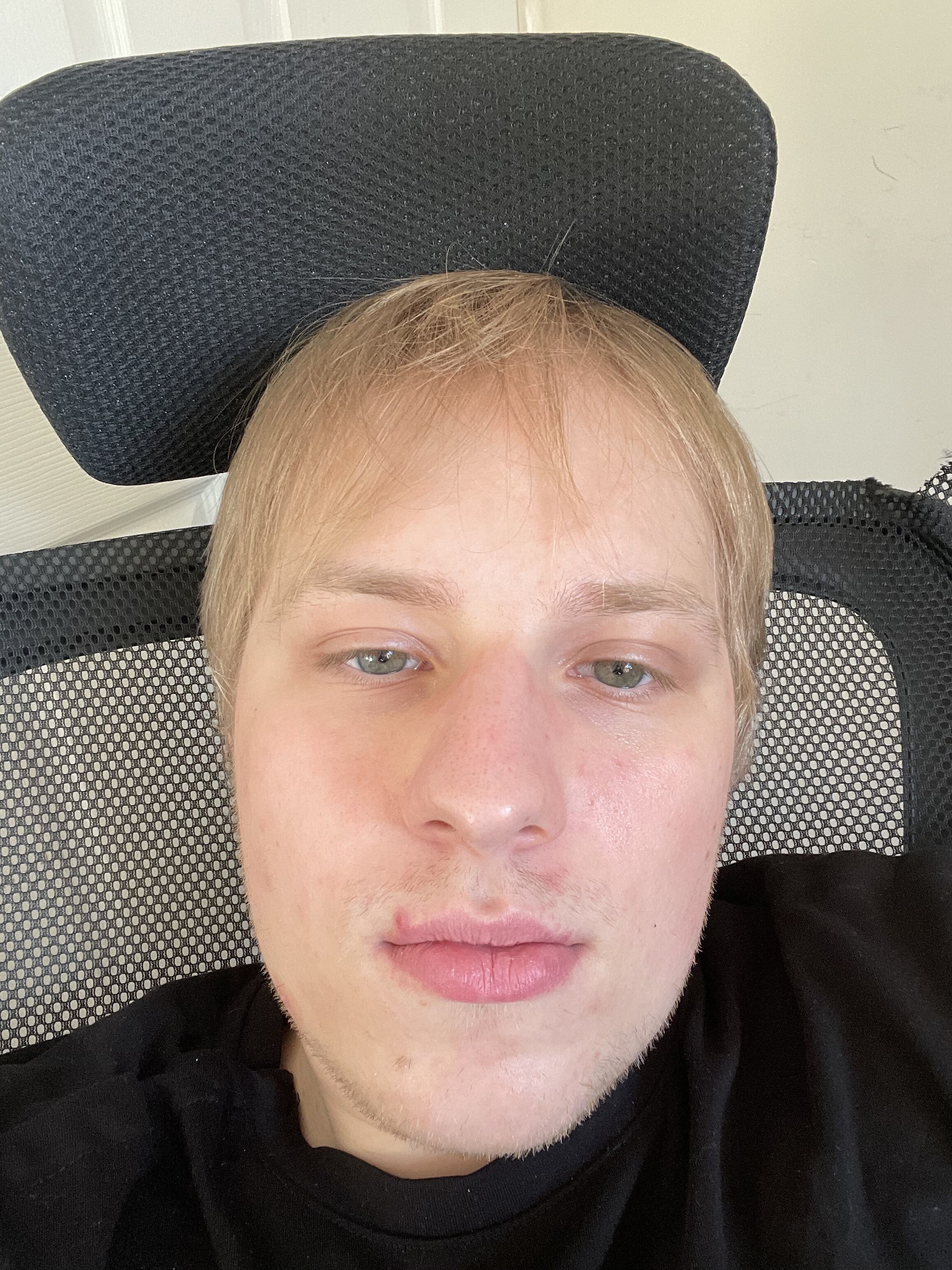IMG 1519