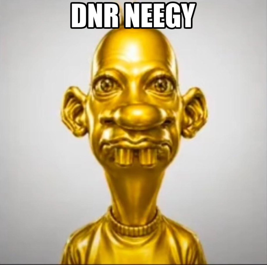 Dnr neegy