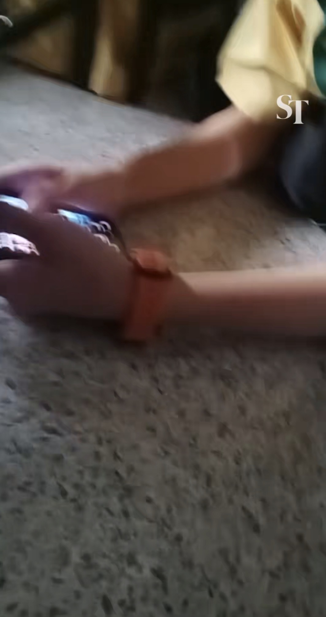 IMG 1317