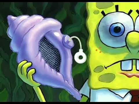 IMG 2207