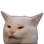 ConfusedCat2x