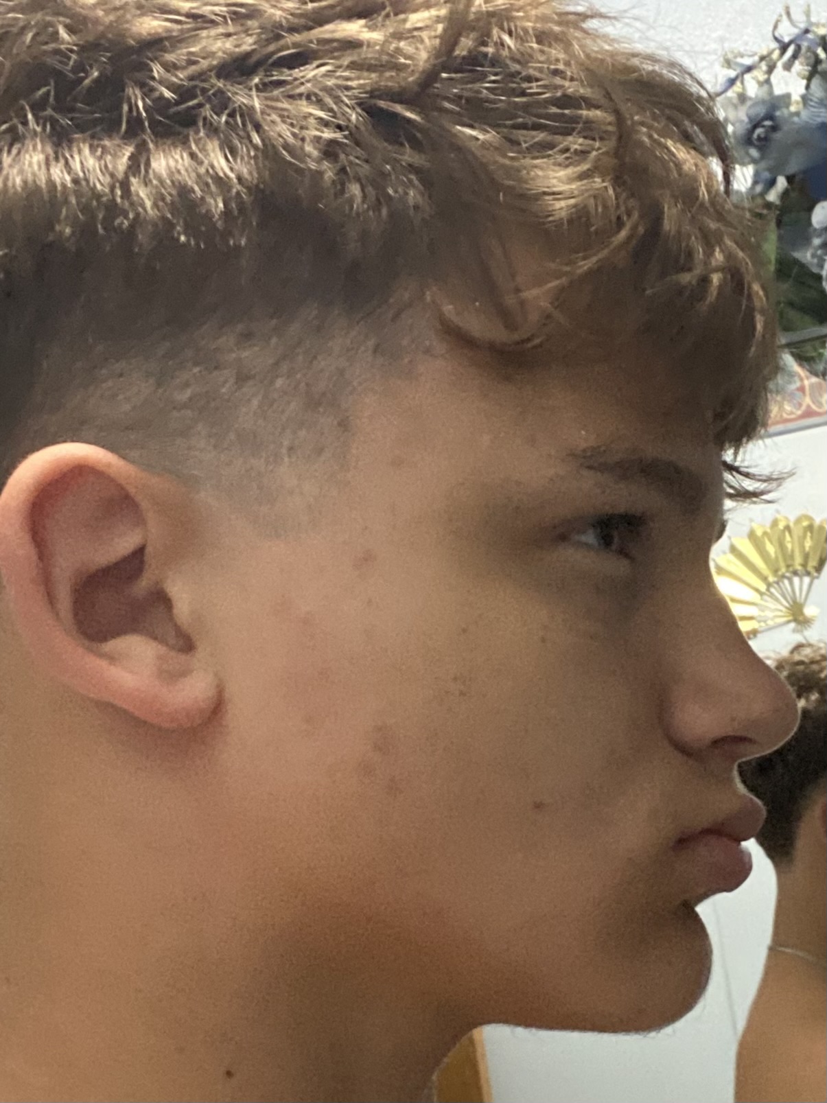6703817 IMG 0446
