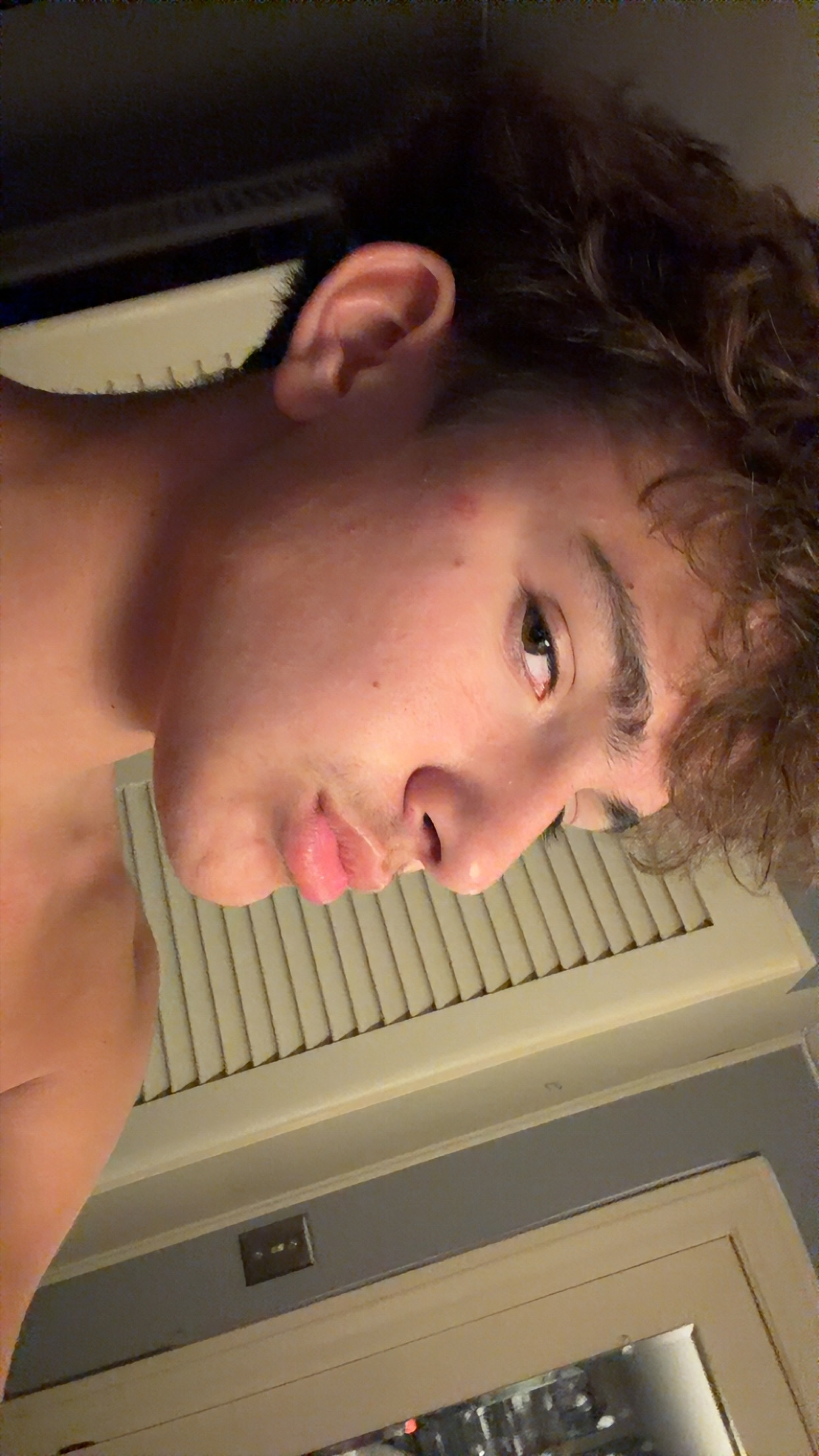 IMG 1982