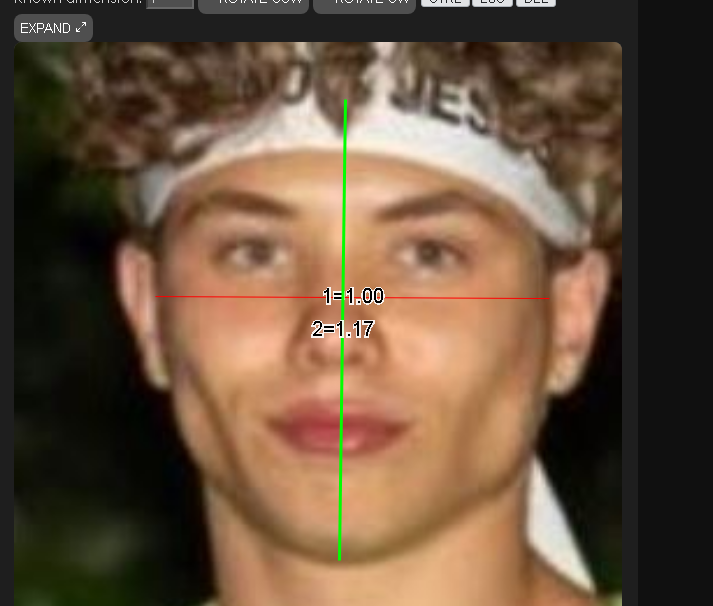 1786138807981