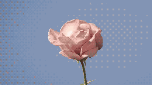 61A70342 D25E 454E 9E8C FB3BCFD2561A