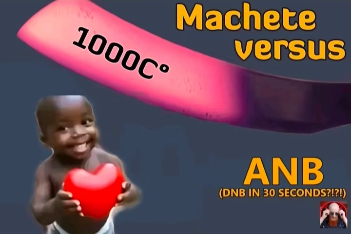 IMG 7019
