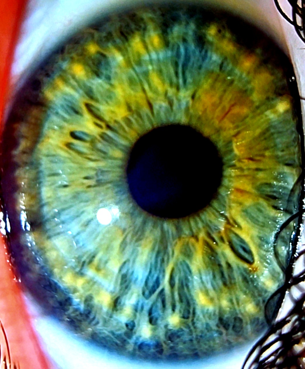 034a2465 181e 4dca b7b6 4e4ad7c36279 1 all 5464