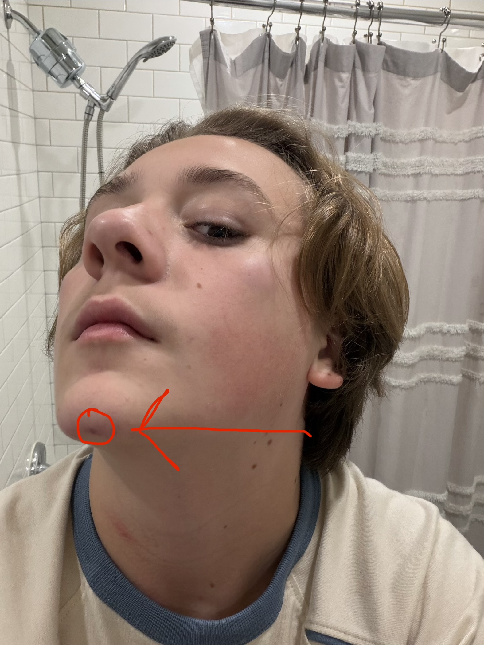 IMG 0842