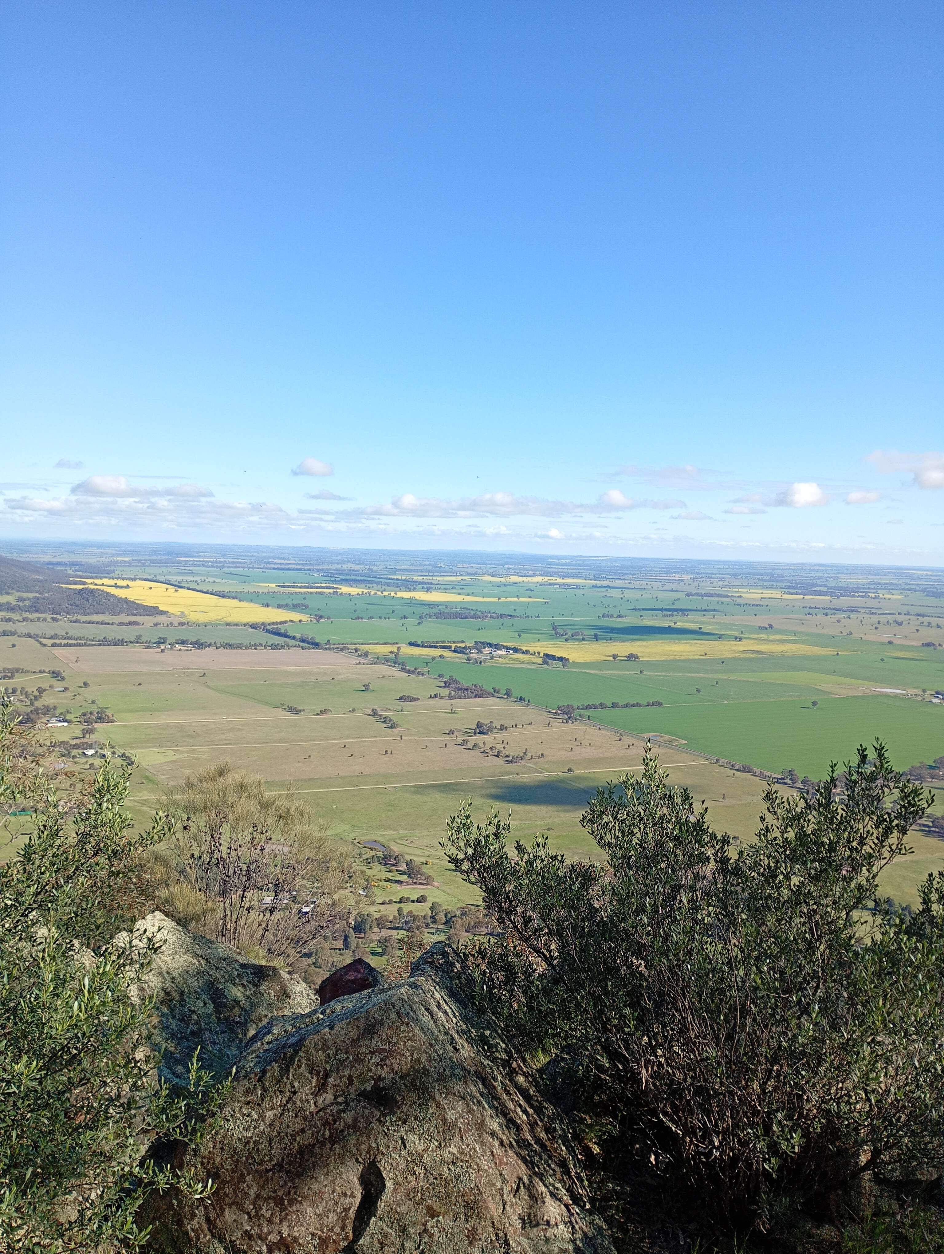 IMG 20260807 143612