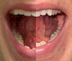 1786200807604