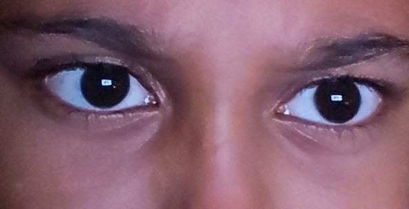 1000048713