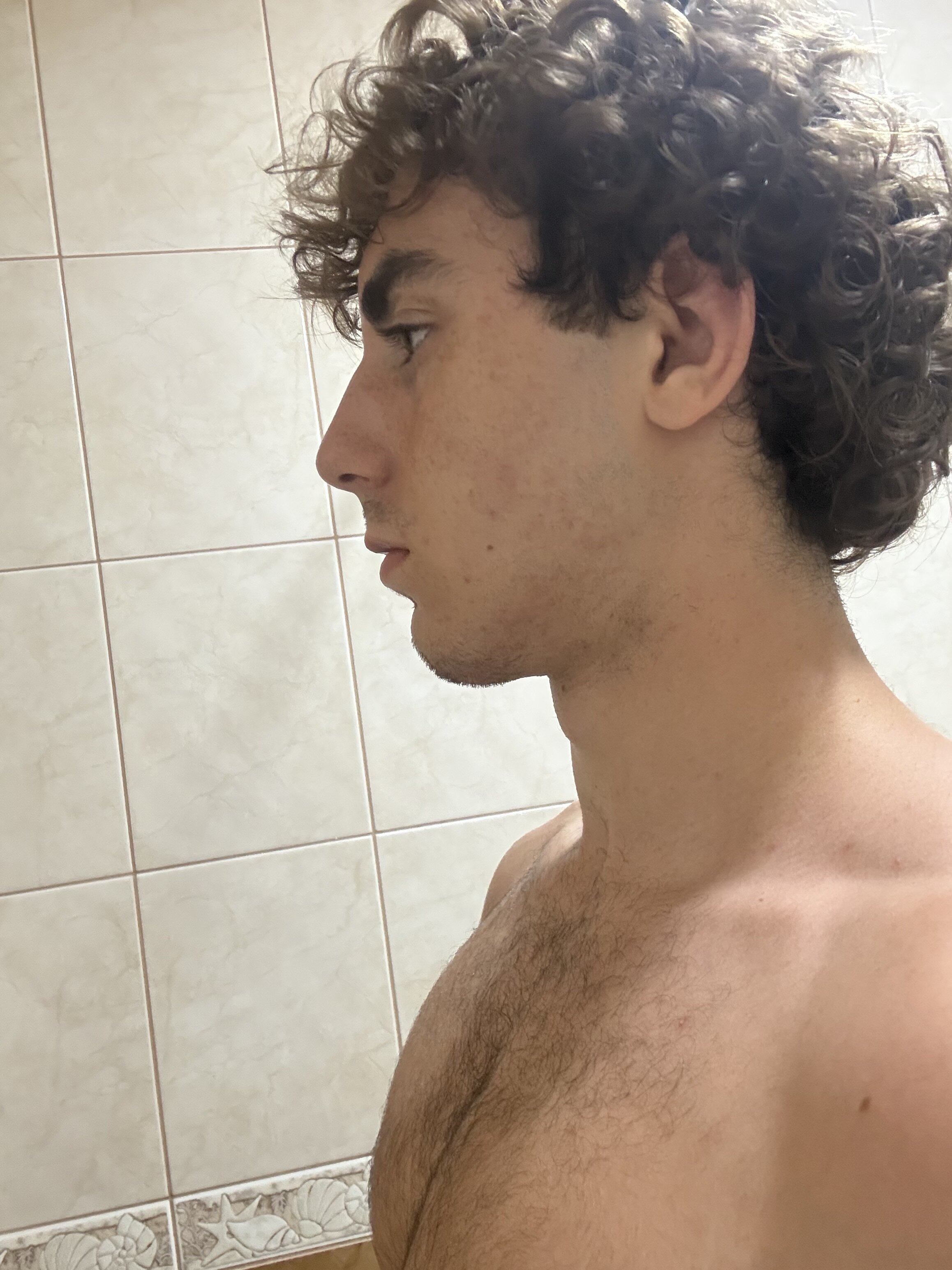 IMG 9462
