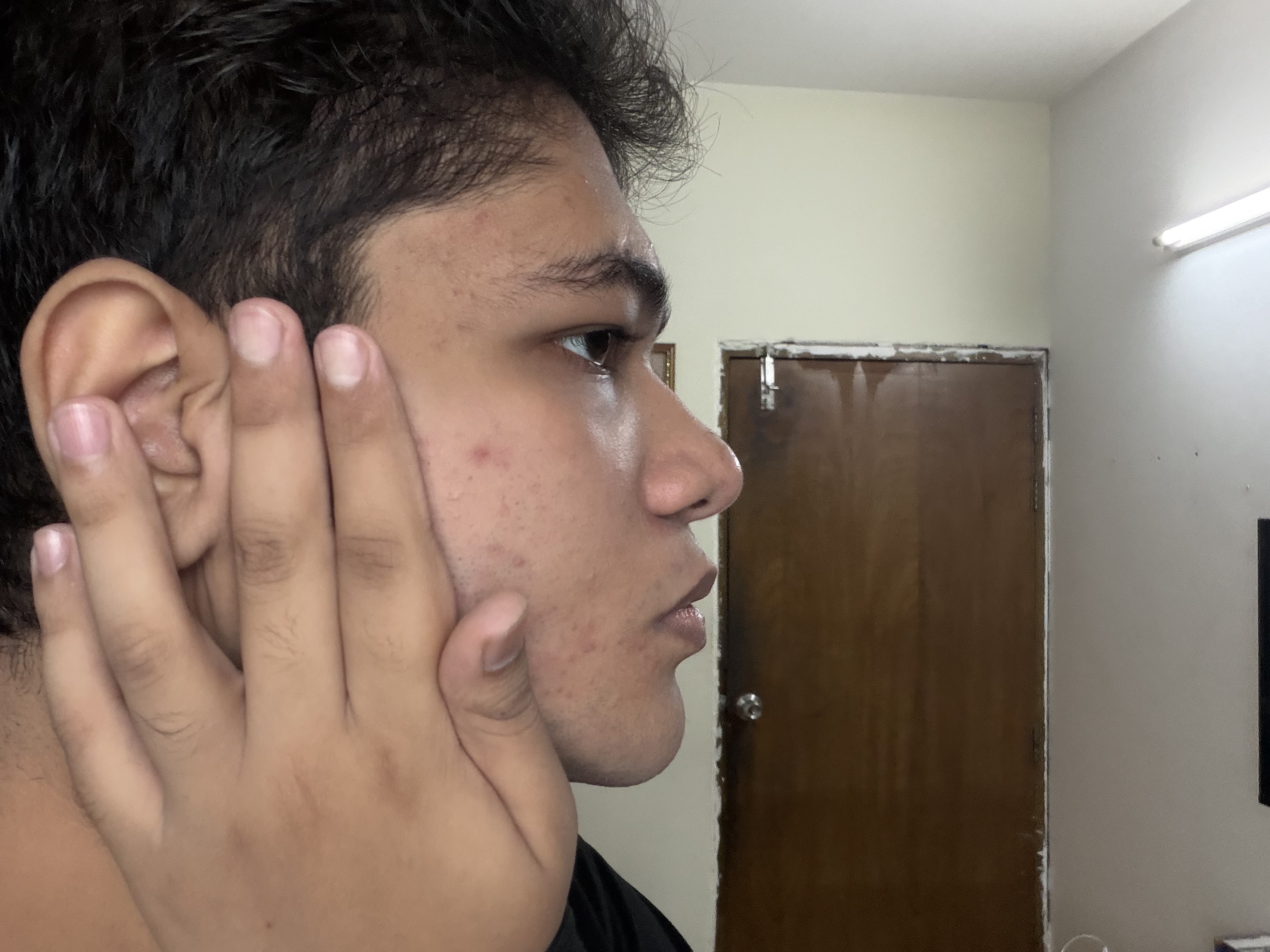IMG 4670