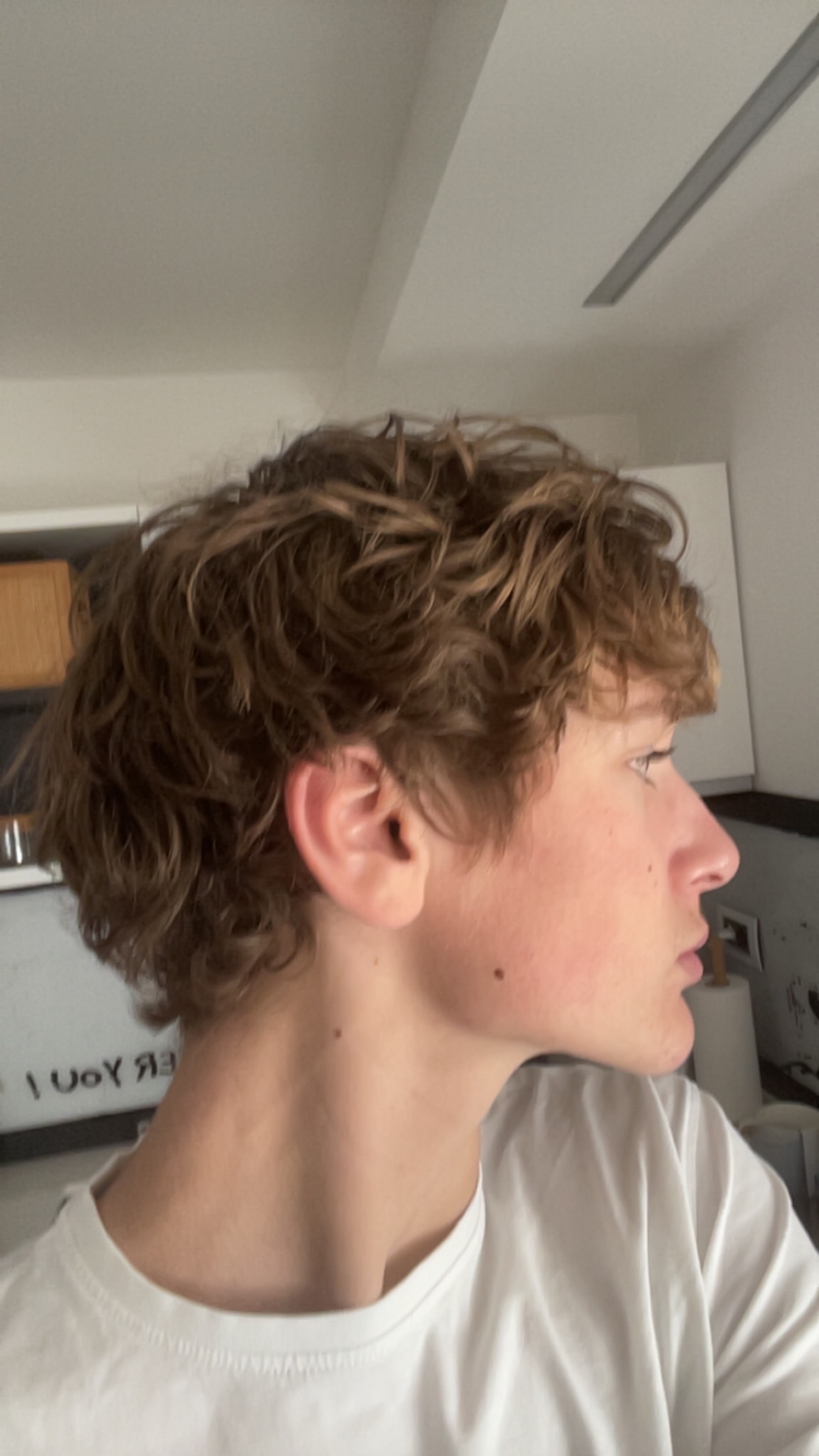IMG 0304