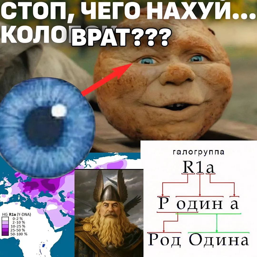 B76341273a475dbfc632c4f9731f42c2