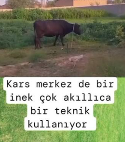 1786298003980