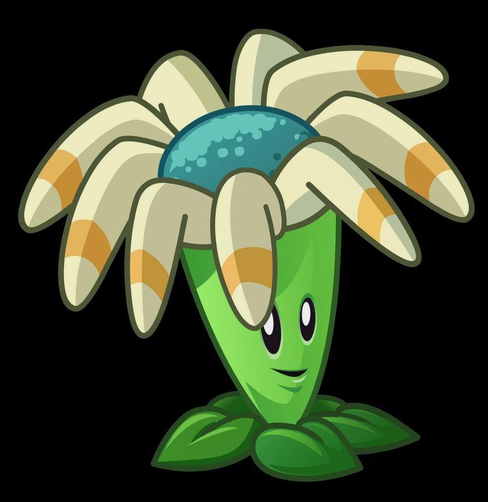 Bloomerang