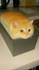 IMG 0514