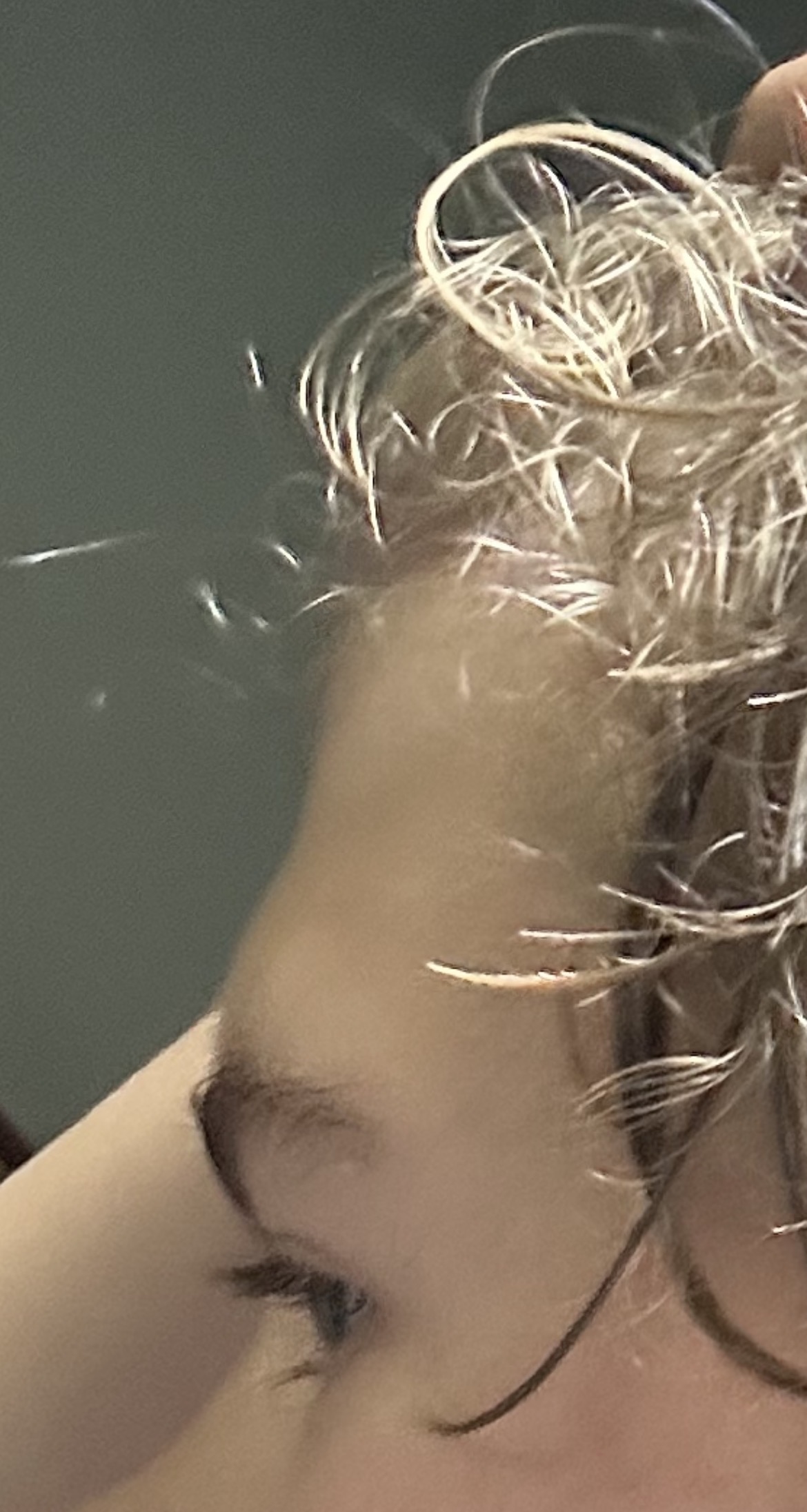IMG 1875