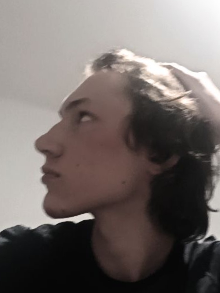 17628