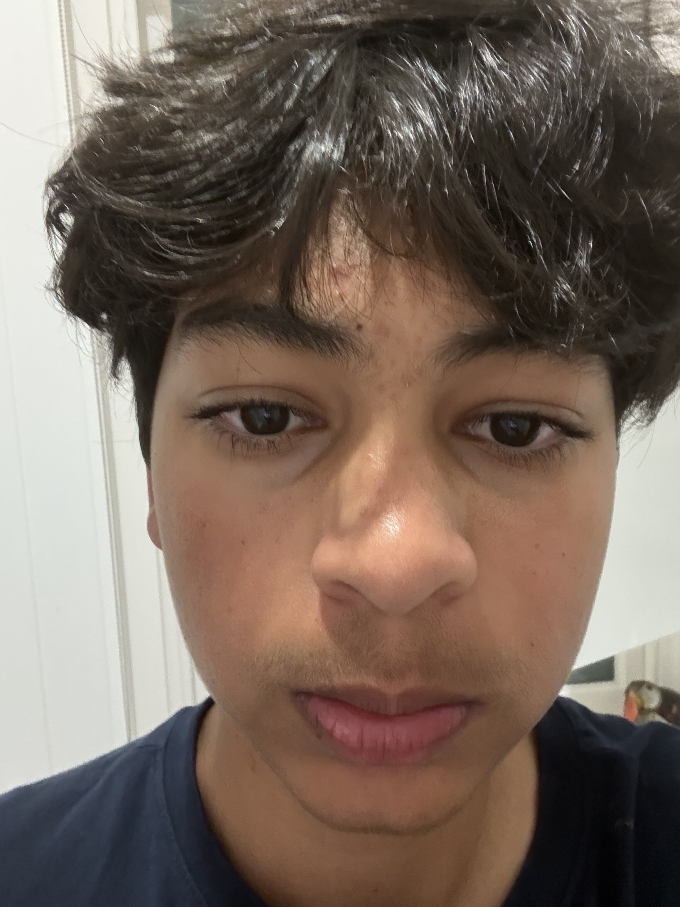 IMG 1686