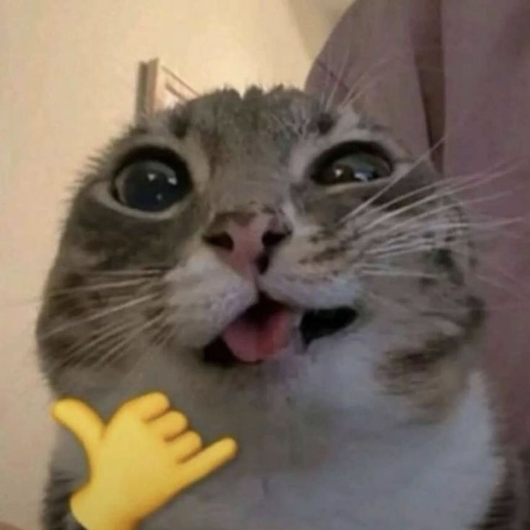 1786322838893