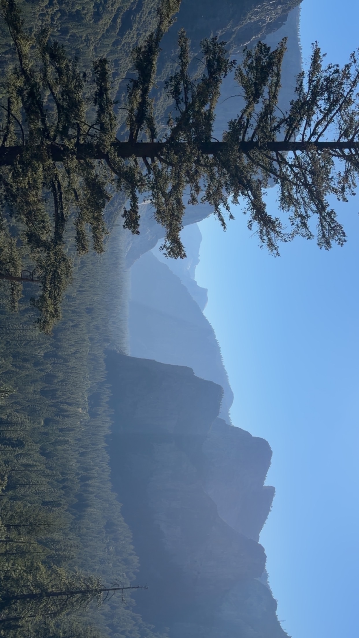 IMG 0355