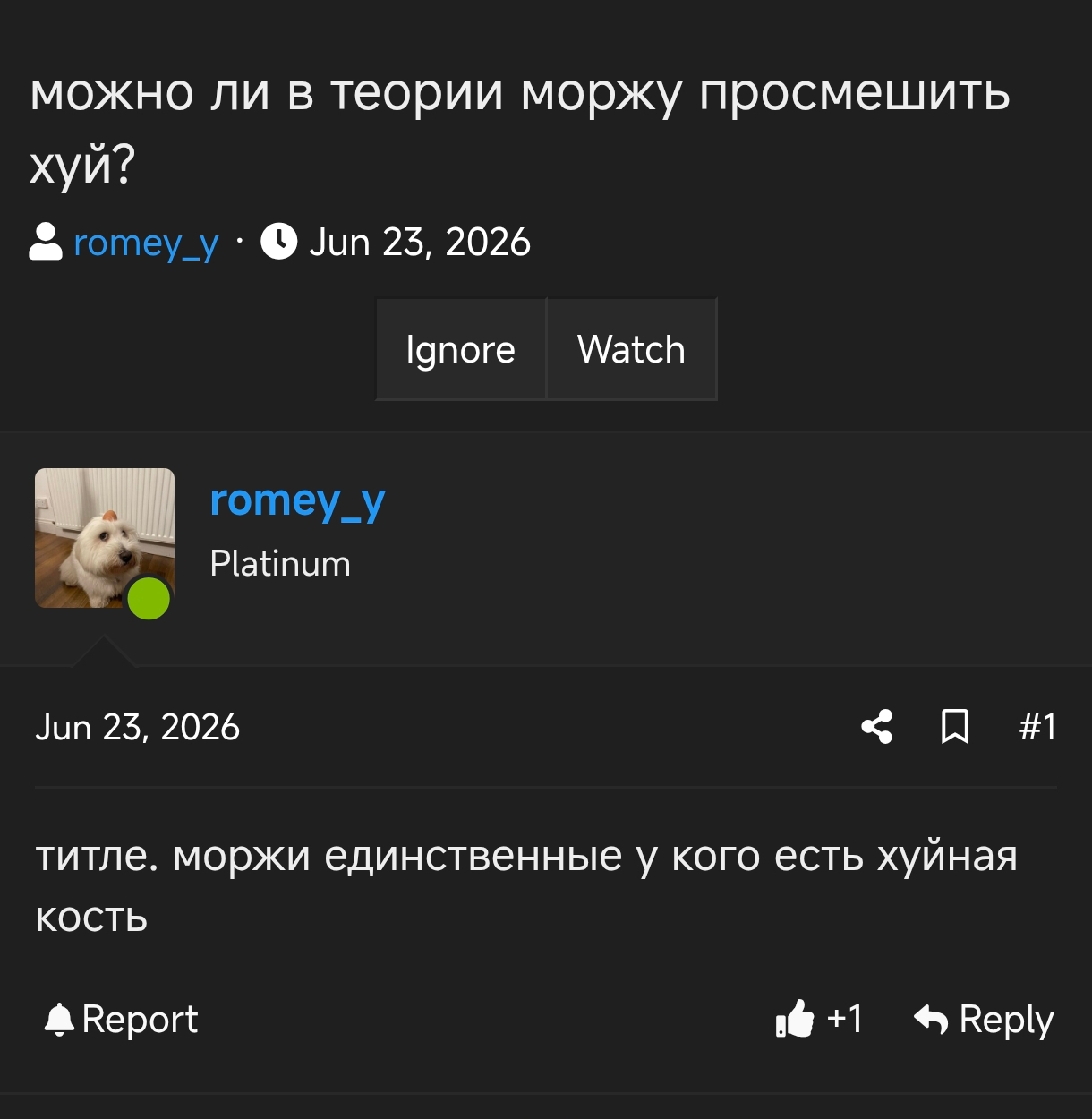 Screenshot 2026 08 10 06 33 57 779 comyandexbrowser edit