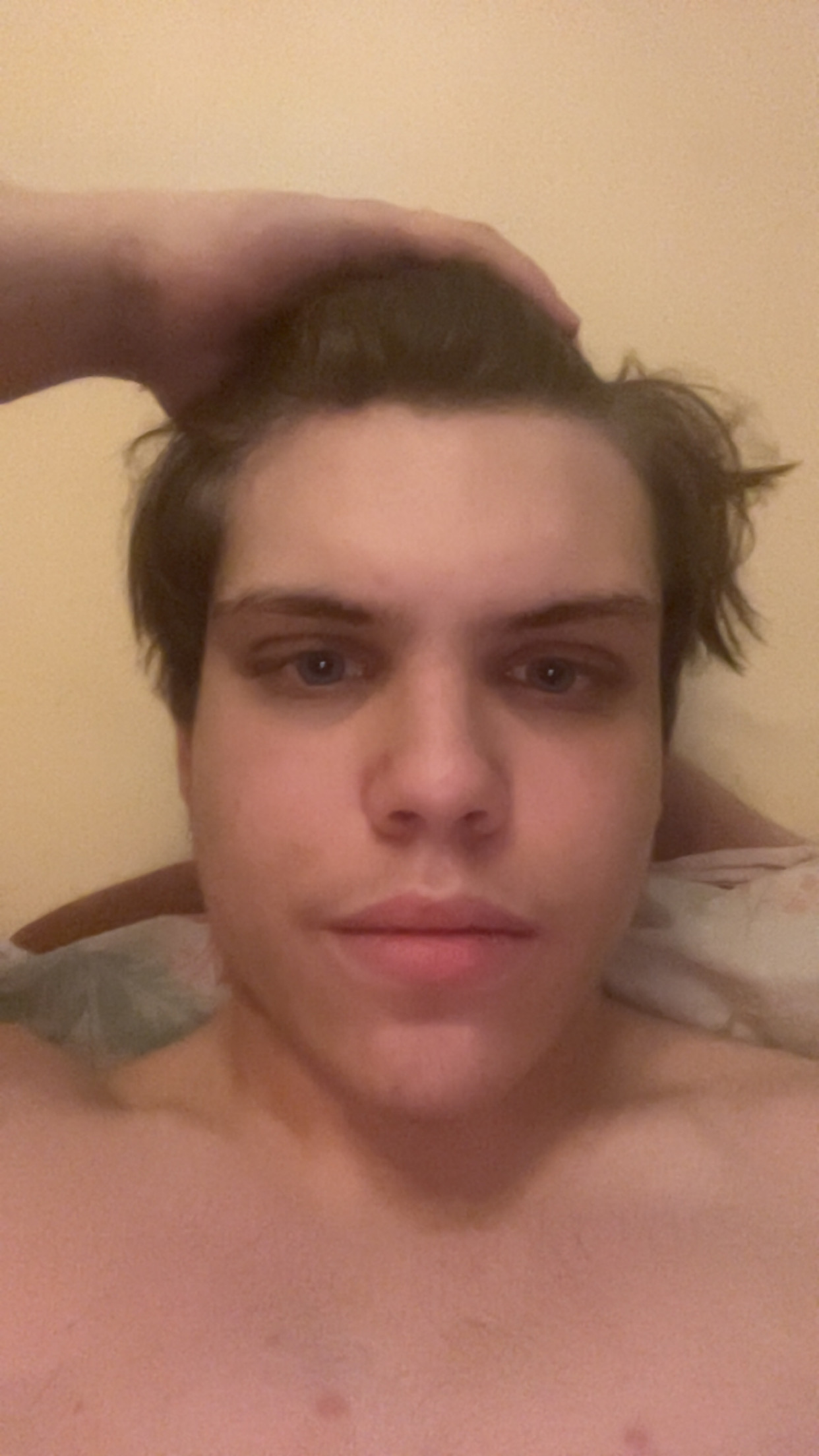IMG 1342