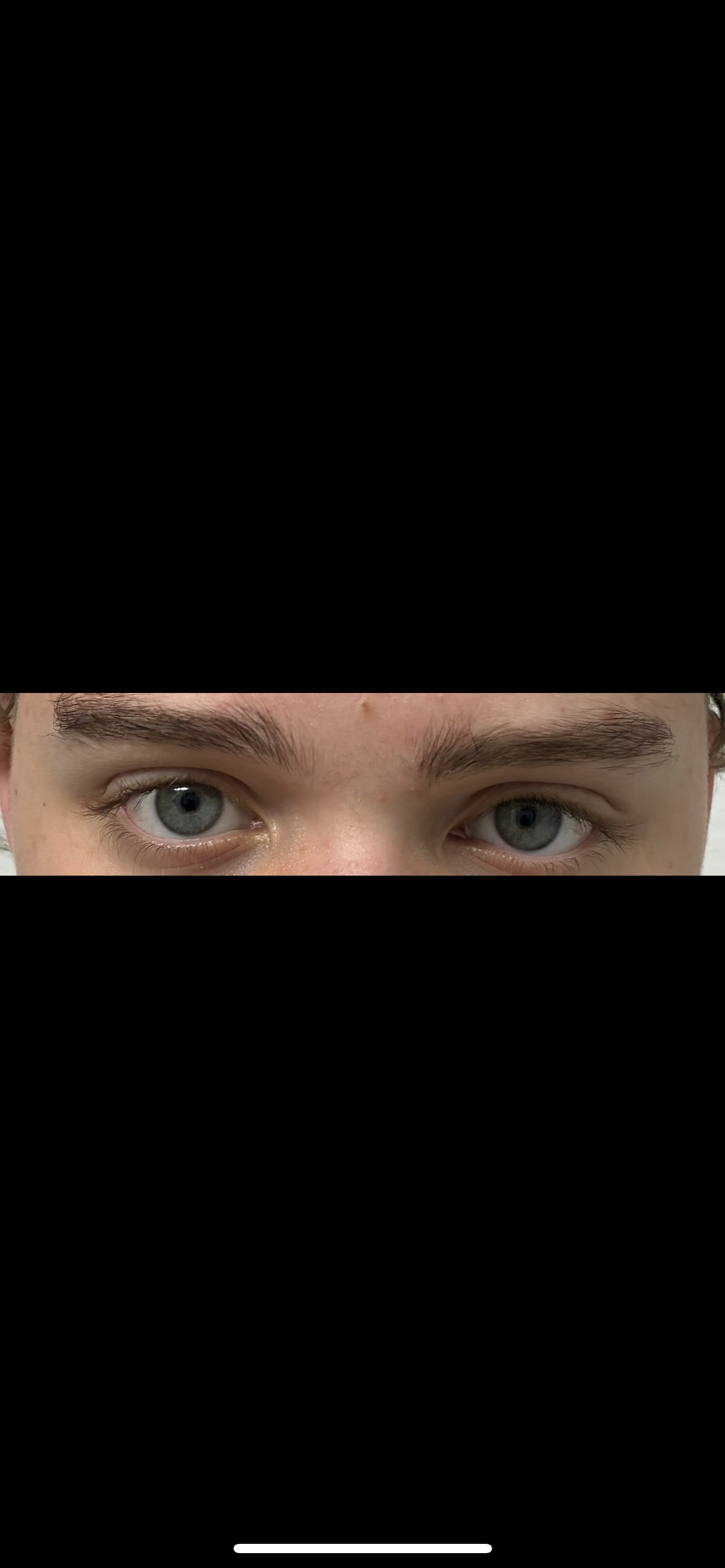 IMG 0041