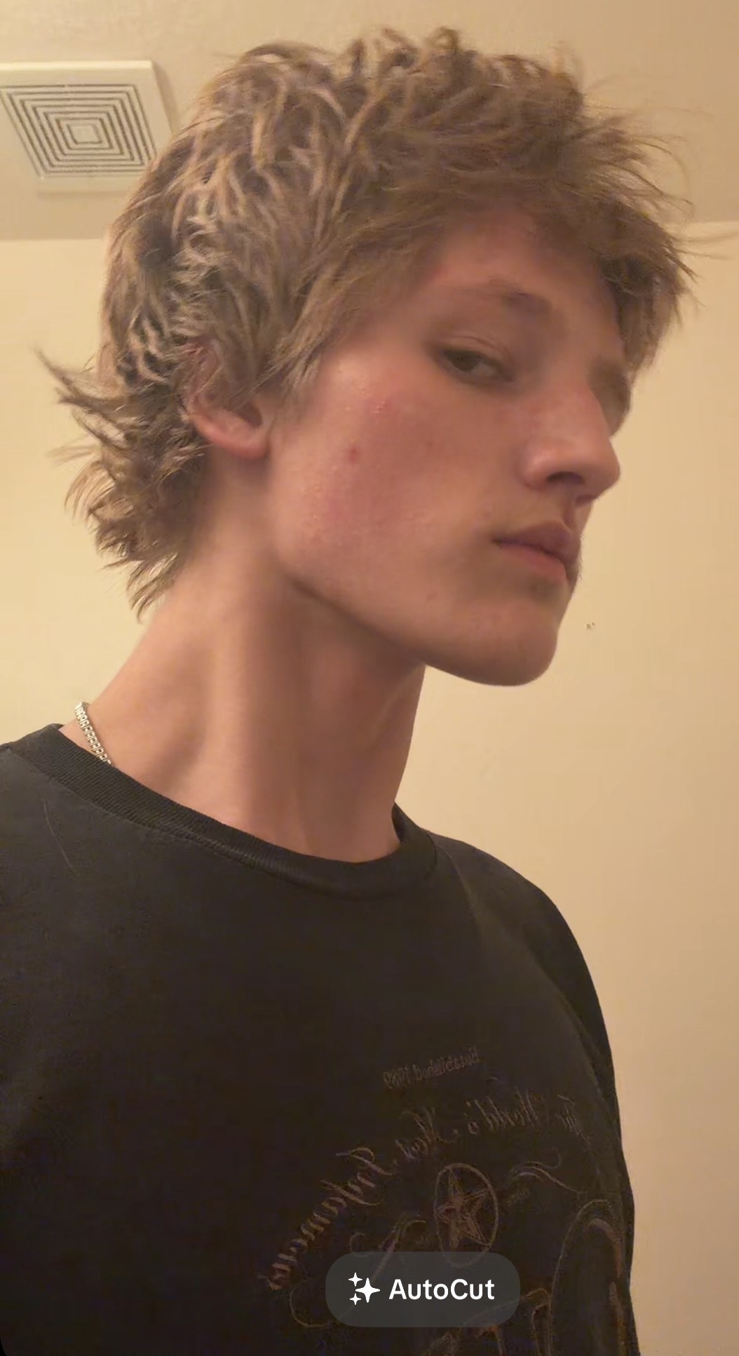 IMG 3979