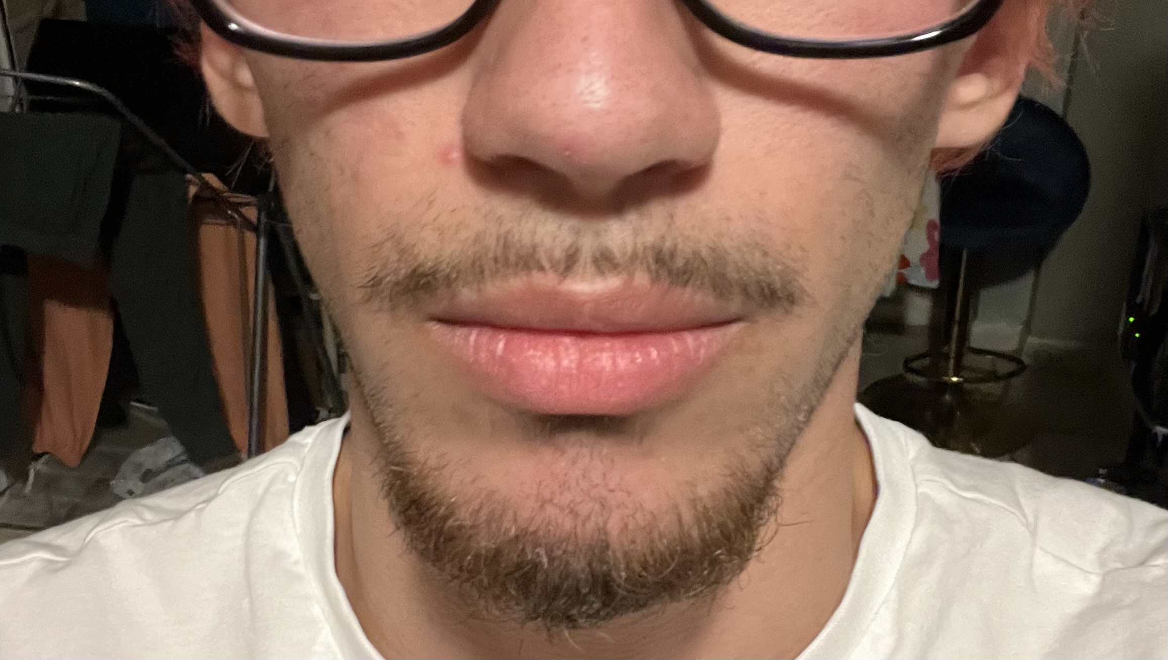 IMG 2664