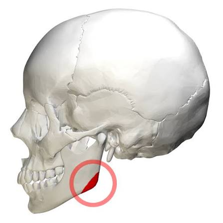 1786370195960
