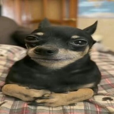 1786370424373