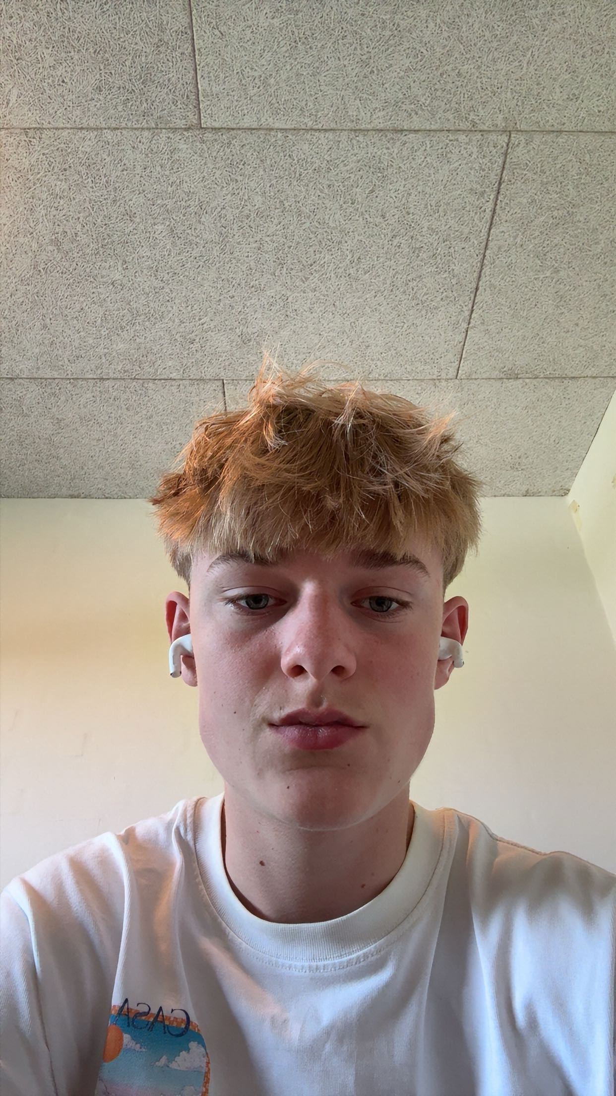 IMG 0691
