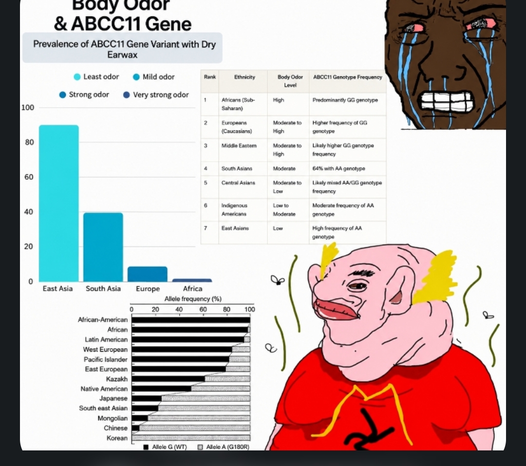 1000033704