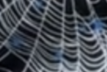 Screenshot 2026 08 10 at 92951PM