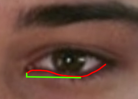 1786450849685