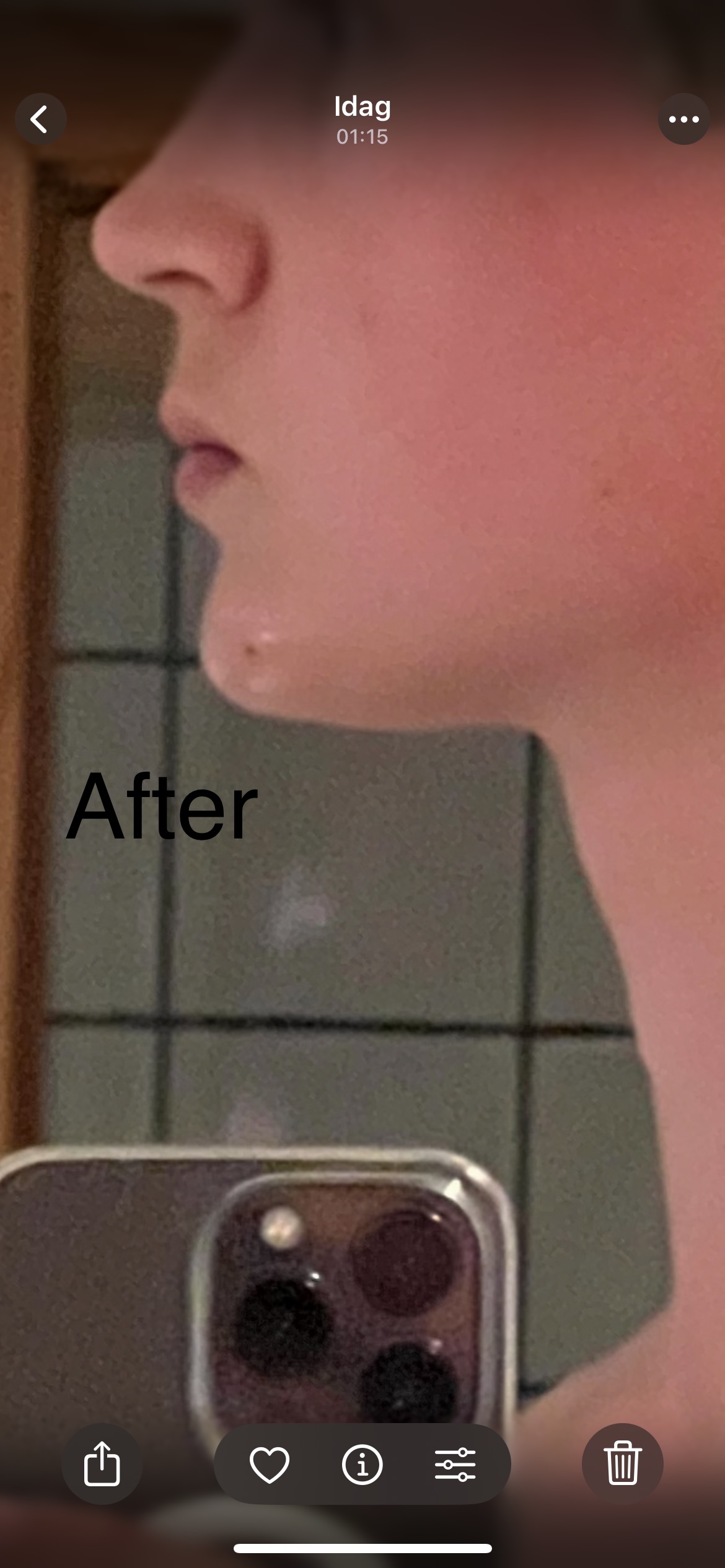 IMG 2101
