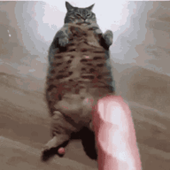 30135