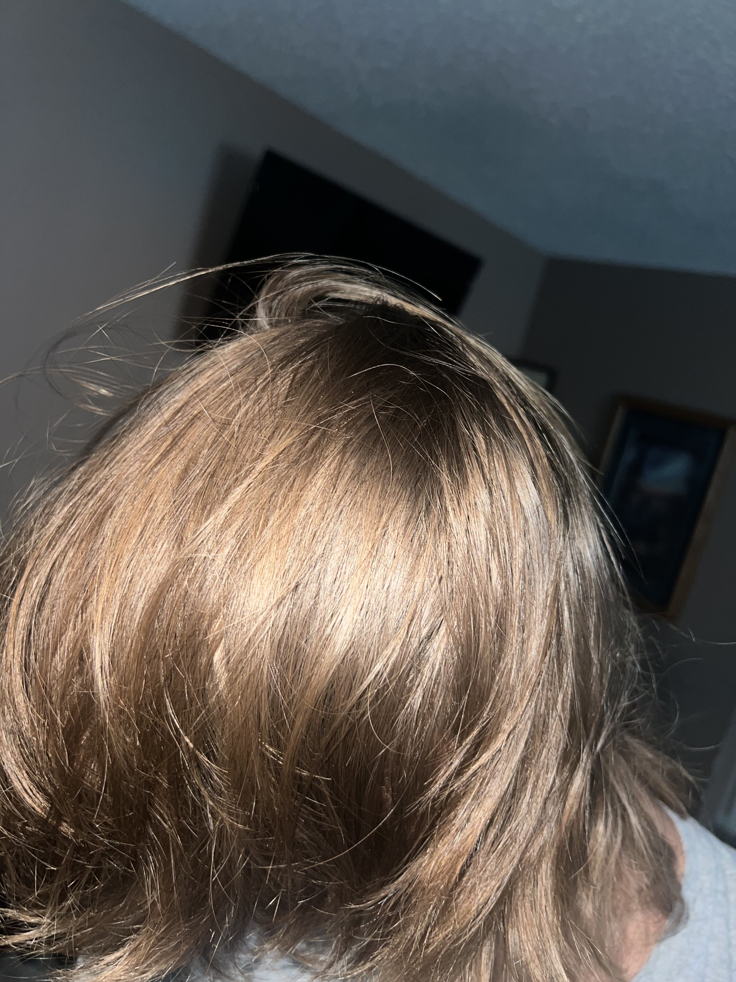 IMG 0540