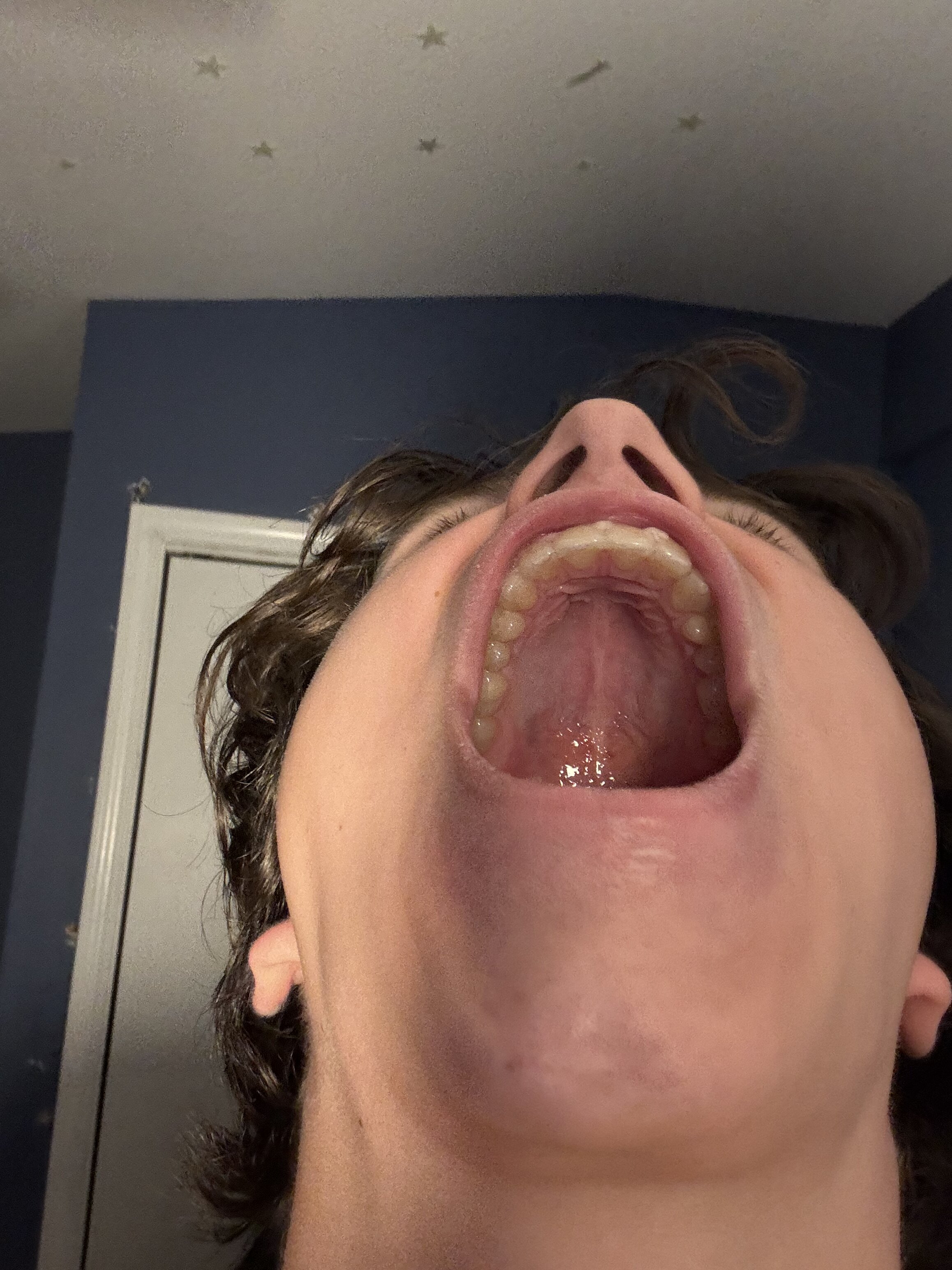 IMG 0063