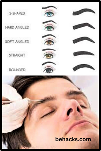 1786515153281
