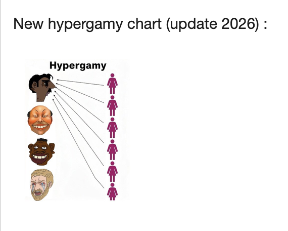 Screenshot 2026 08 12 at 142649