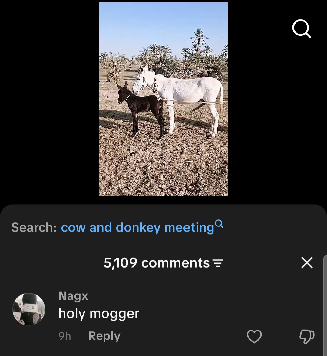 10279