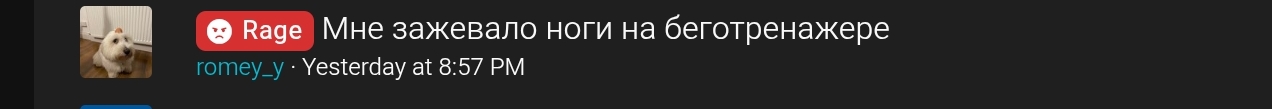 1000011639